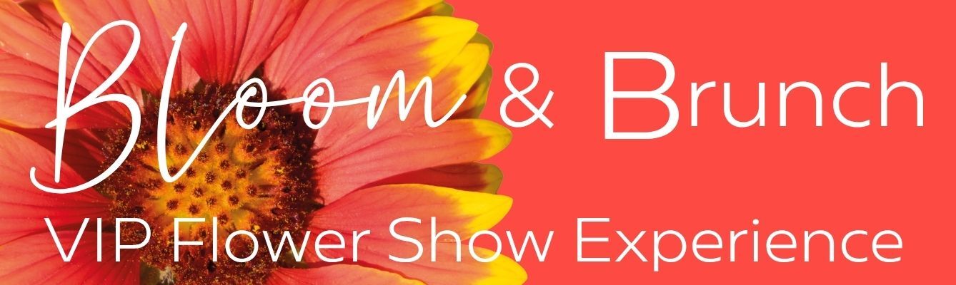Full width web banner Bloom and Brunch