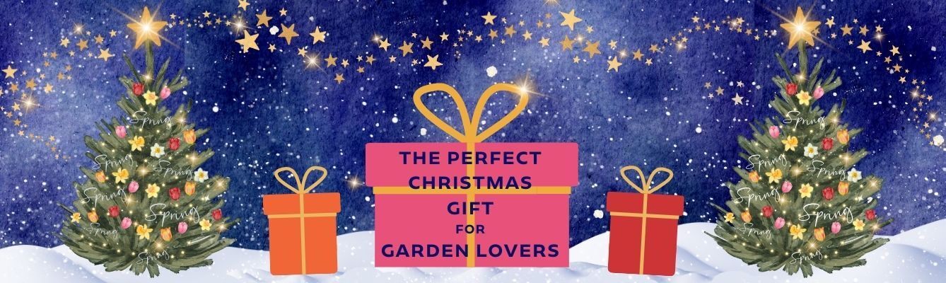 Gift E Voucher 1920 x 1080