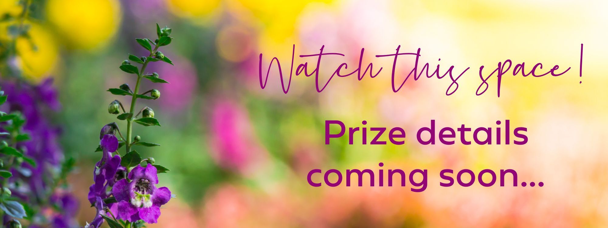 Great Garden Giveaway Prize Placeholder 1