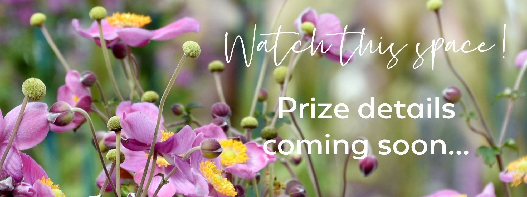 Great Garden Giveaway Prize Placeholder