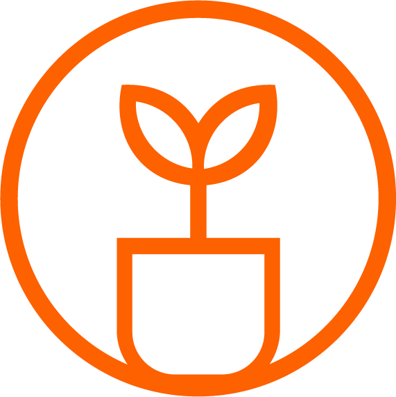 HFS Icon Plant Product Creche spring rgb - Icon