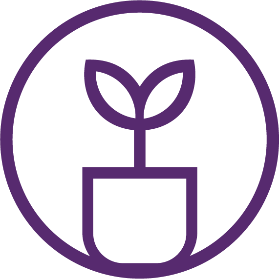 HFS Icon Plant Product Creche spring rgb - Icon