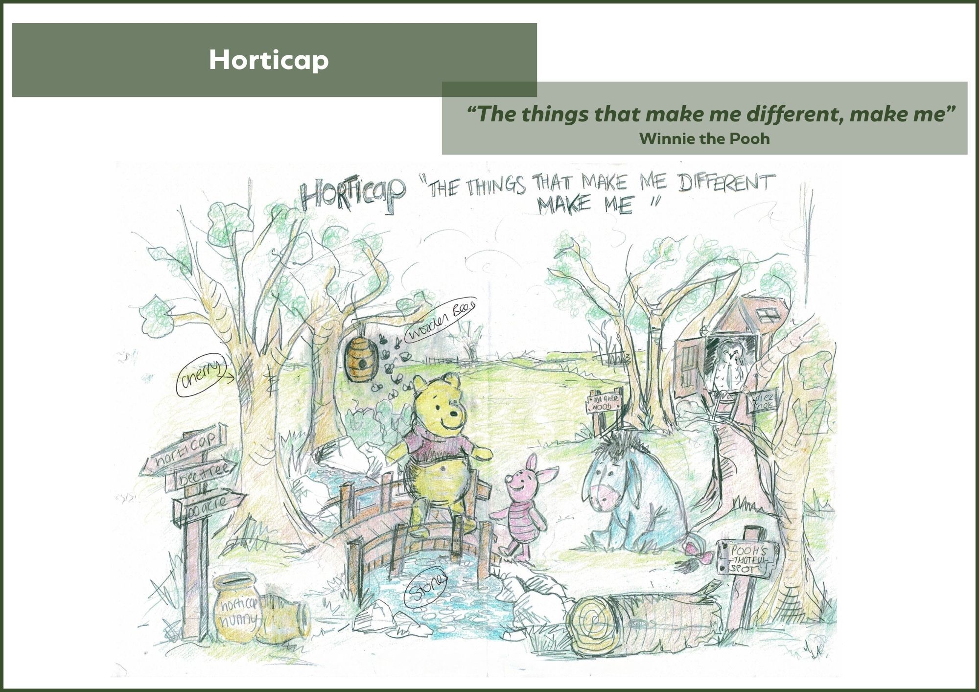 Horticap Show Garden