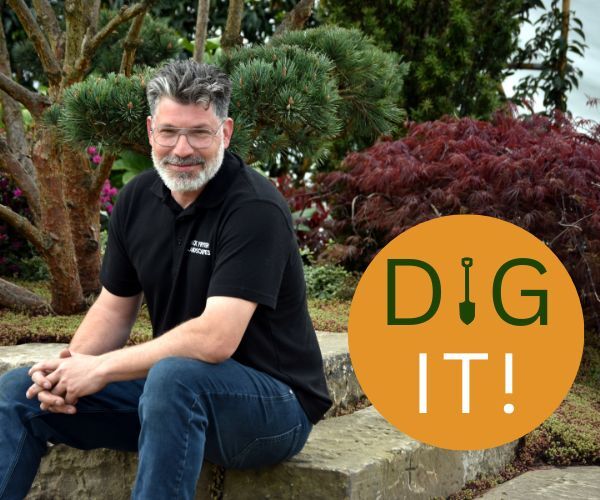 Image and Text Format 1