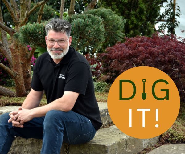 Image and Text Format