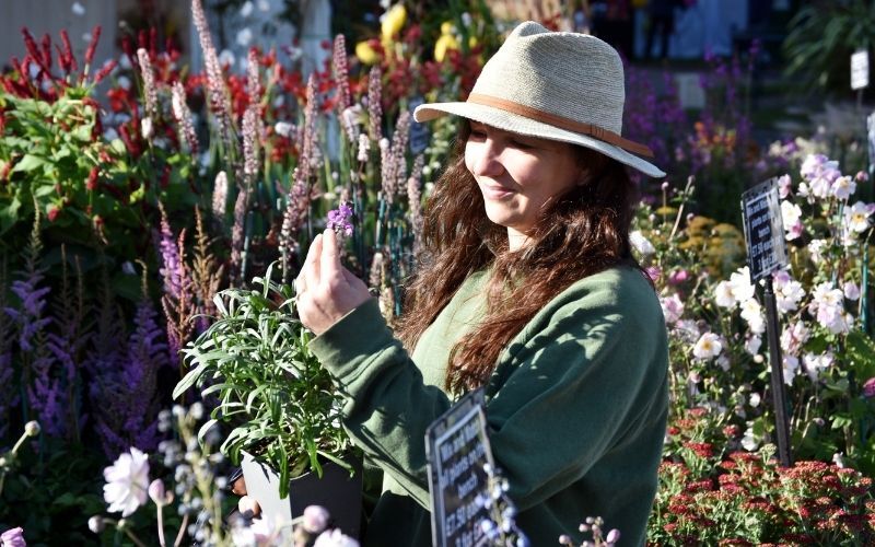 Lady Plant Shopping