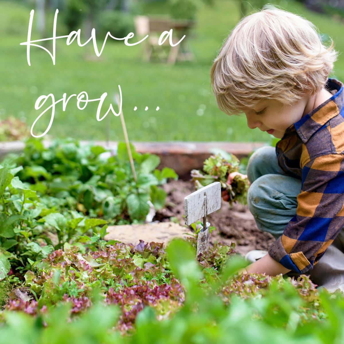 Little Nature Rangers Web Page Growing Competition