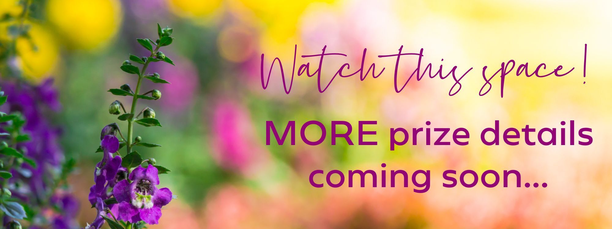 More prizes coming soon