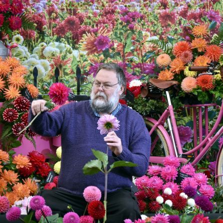 Pelargoniumns and Dahlias