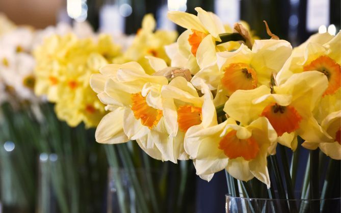 Plant Society Exhibitor