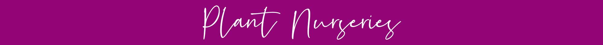 Spring Plant Nurseries