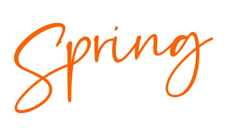 Show homepage logo