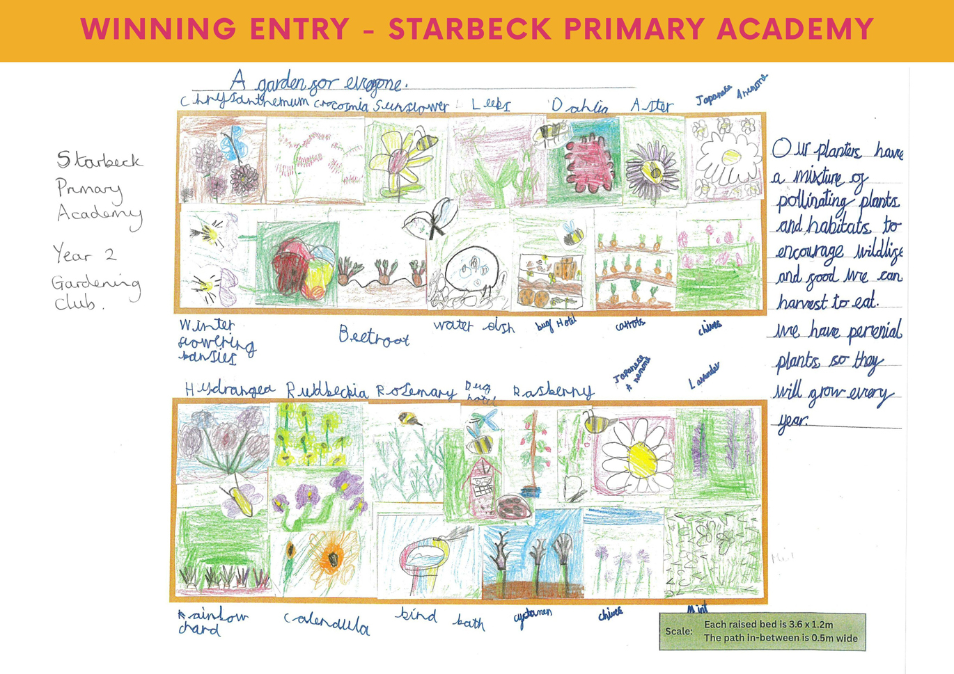 Starbeck