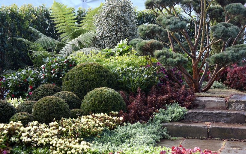 The Devils in the D Tail Nick Fryer Landscaping and D Tail Plants