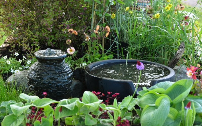 Water Feature Creative Border